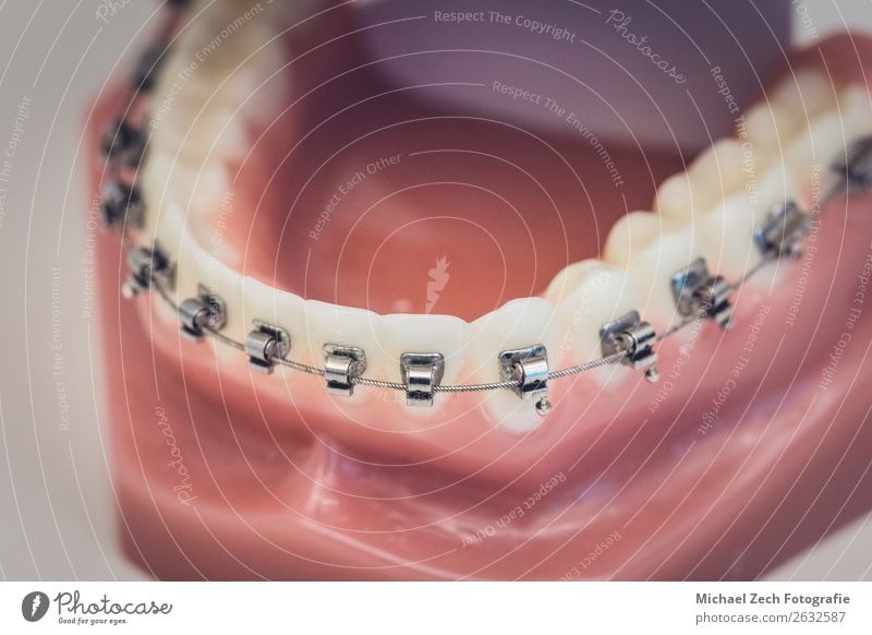 Detaillierte Nahaufnahme von Zahnprothesen oder Zähnen auf einem Tisch Design Krankheit Medikament Spiegel Arzt Büro Krankenhaus Sauberkeit weiß Zahnarzt dental