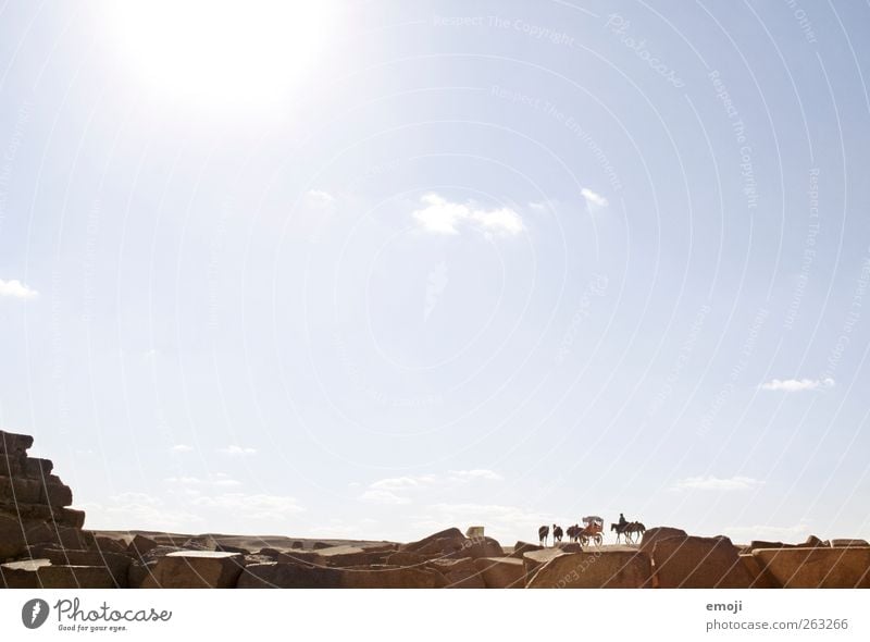 man beachte die Pferde/Kutsche Himmel Wolkenloser Himmel Sonne Sommer Wärme Dürre Wüste Ägypten Ferne Aussicht Bruchstück Steinmauer Farbfoto Außenaufnahme