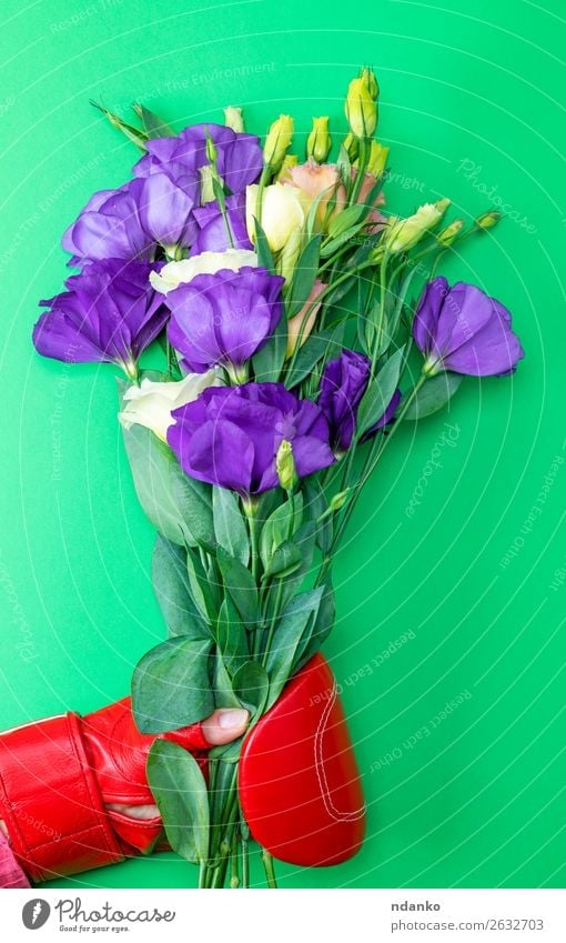 Hand in einem roten Boxhandschuh, der einen Blumenstrauß hält. Garten Dekoration & Verzierung Feste & Feiern Valentinstag Muttertag Geburtstag Sport Blatt Blüte