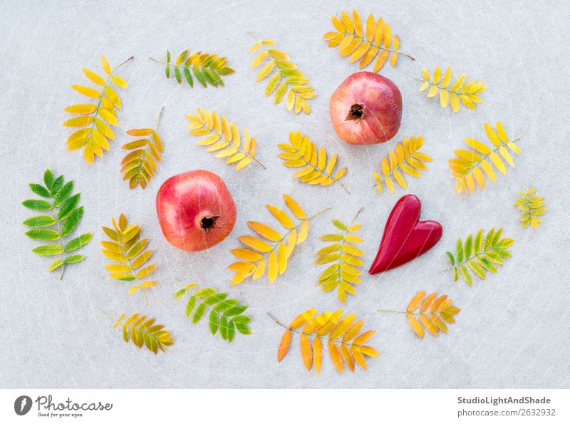 Granatäpfel und goldene Aschebaumblätter Frucht schön Kunst Natur Herbst Wetter Baum Blatt Beton Herz Liebe hell natürlich gelb grau grün rot Gefühle Farbe