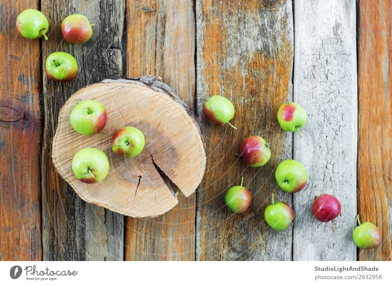 Apfelbaumstumpf und Äpfel auf rustikalem Holzgrund Frucht schön Sommer Garten Gartenarbeit Natur Herbst Baum alt natürlich retro wild braun grün rot Farbe