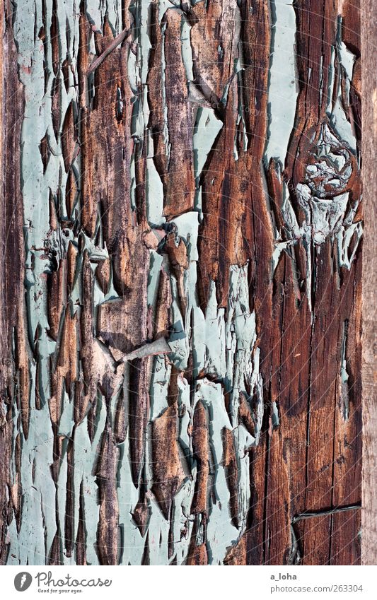 structure 3.3 Holz Linie alt kaputt blau braun Verfall Vergänglichkeit Zerstörung lackiert türkis Brett Farbfoto Außenaufnahme Detailaufnahme abstrakt Muster