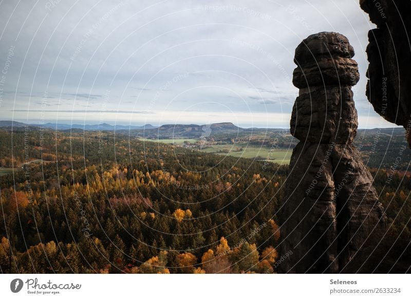 Blick auf den Herbst Sächsische Schweiz Ausblick wandern Deutschland Felsen Landschaft Berge u. Gebirge Elbsandsteingebirge Ferien & Urlaub & Reisen Wald