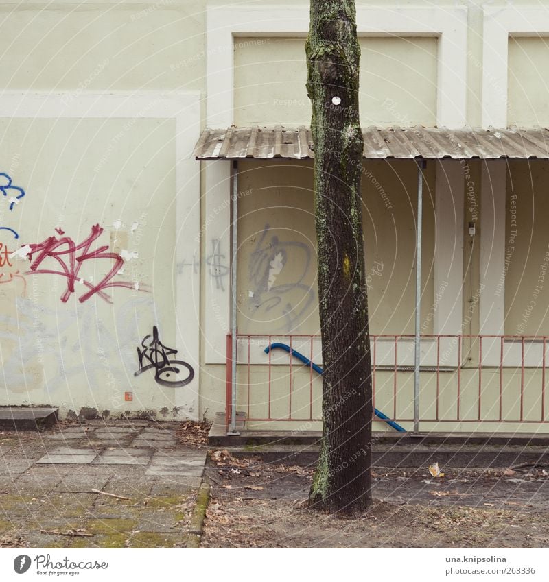 [ ] [ I ] [ Baum Baumstamm Haus Industrieanlage Gebäude Mauer Wand Fassade Treppe Schriftzeichen Graffiti eckig kaputt trist Stadt Farbfoto Gedeckte Farben