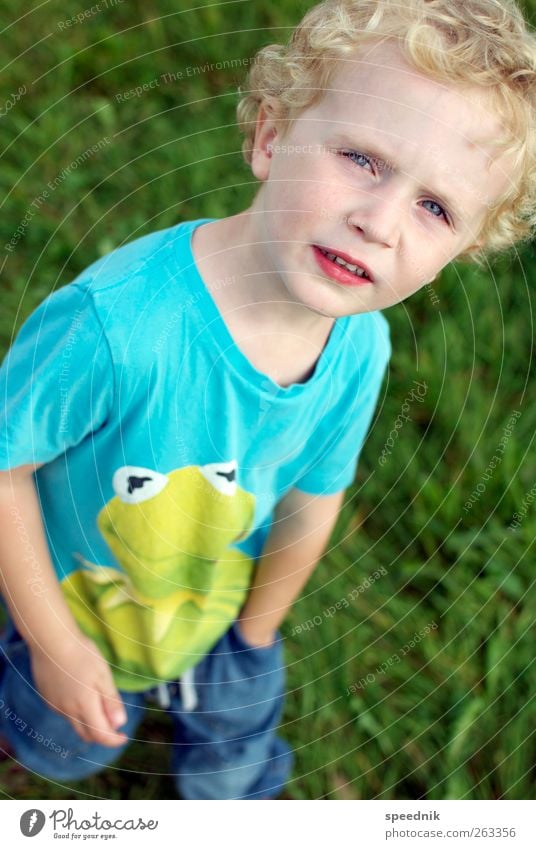 Der Froschkönig Ausflug wandern Kindererziehung Kindergarten Mensch maskulin Junge Kindheit 1 3-8 Jahre Sommer Schönes Wetter Wärme blond Locken Tier beobachten