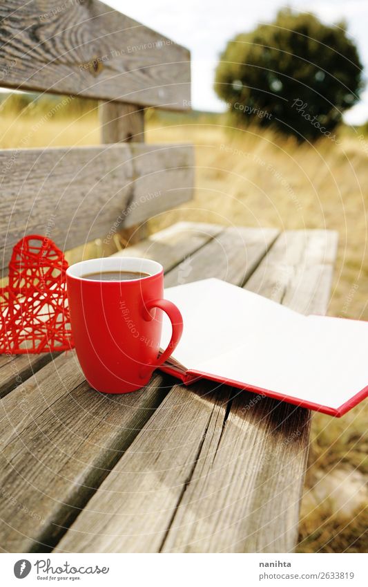 Roter Becher mit Kaffee auf einer Holzbank Frühstück Getränk Heißgetränk Tee Tasse Winter Kultur Buch Herbst Wärme Herz lecker rot Gelassenheit klug sonnig