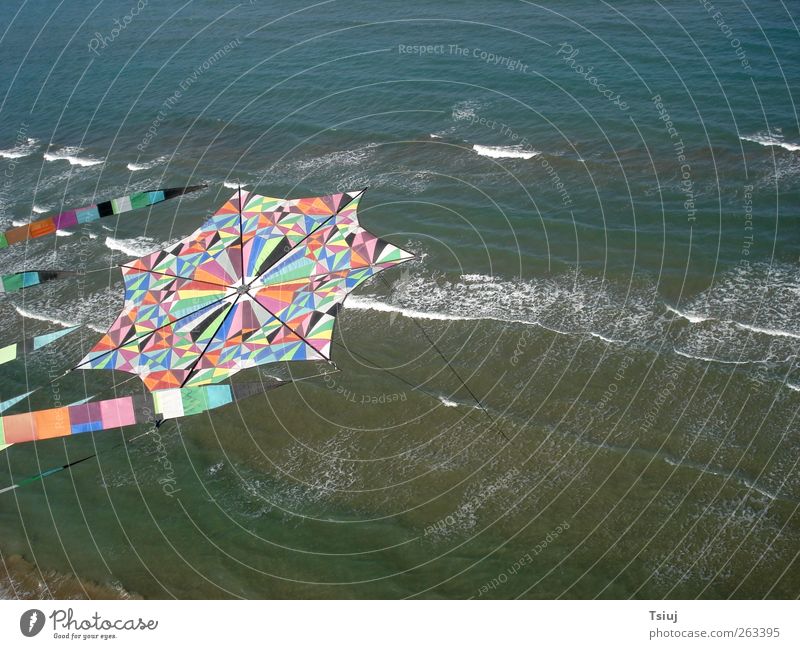 Flug mit dem Drachen Sommer Meer Wellen Drachenflug Lenkdrachen fliegen Luftaufnahme Patchwork mehrfarbig Farbfoto Außenaufnahme Menschenleer