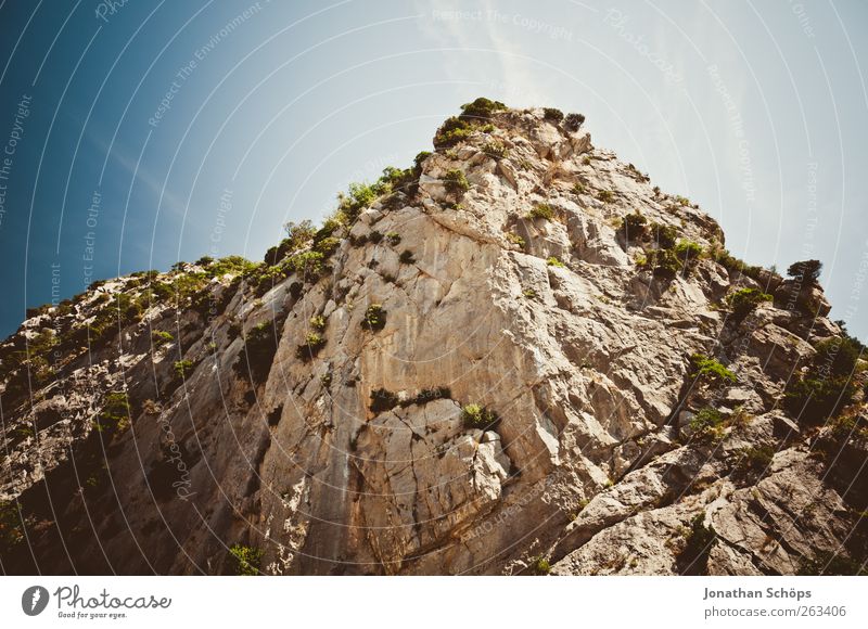 Tautavel V Umwelt Natur Landschaft Wolkenloser Himmel Sommer Felsen Berge u. Gebirge ästhetisch erhaben aufwärts steil Klippe Südfrankreich Frankreich bewachsen