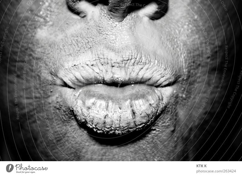 Küss mich! schön Körperpflege Haut Gesicht Heilerde Nase Mund Lippen Kunst Urelemente Erde dreckig silber trocknen Schwarzweißfoto Nahaufnahme Detailaufnahme