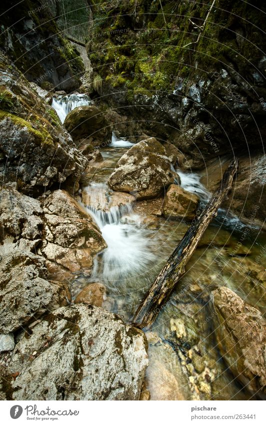 Natur mit Diplom Landschaft Wasser Moos Felsen Bach Farbfoto Außenaufnahme Tag Starke Tiefenschärfe Weitwinkel