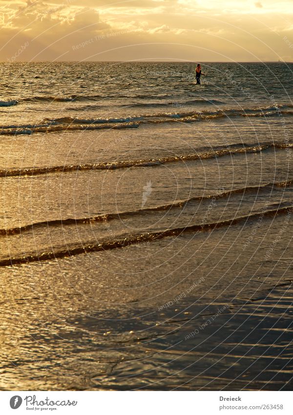 Planschbecken Strand Meer Wellen Schwimmen & Baden 1 Mensch Wasser Wassertropfen Wolken Sonnenaufgang Sonnenuntergang Sonnenlicht Sommer Küste tauchen nass