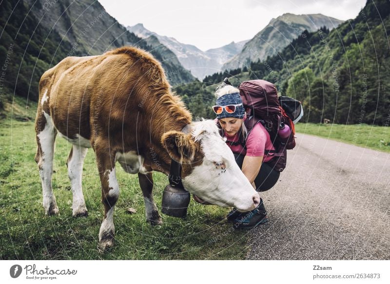 Junge Frau beim Wandern mit Kuh Lifestyle wandern feminin Jugendliche 18-30 Jahre Erwachsene Natur Landschaft Wiese Alpen Berge u. Gebirge Sonnenbrille
