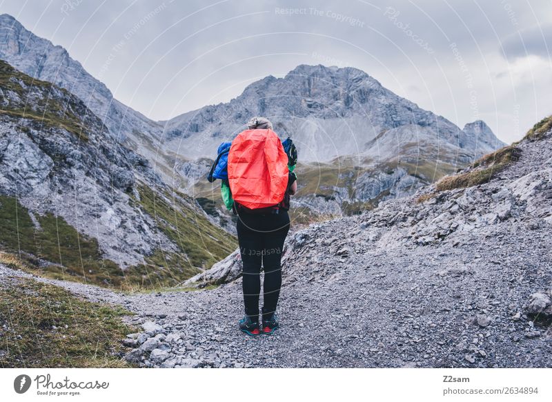 Junge Frau auf Alpenüberquerung Freizeit & Hobby Abenteuer wandern Jugendliche 18-30 Jahre Erwachsene Natur Landschaft Herbst Berge u. Gebirge Gipfel Rucksack