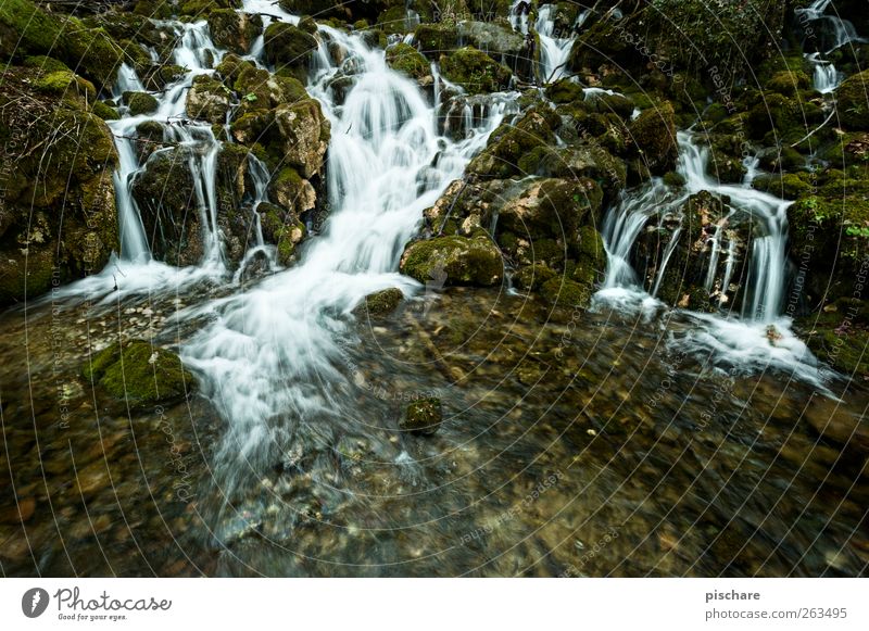 Natur (ohne Diplom) Landschaft Wasser Moos Bach Wasserfall exotisch Farbfoto Außenaufnahme Langzeitbelichtung Starke Tiefenschärfe Weitwinkel