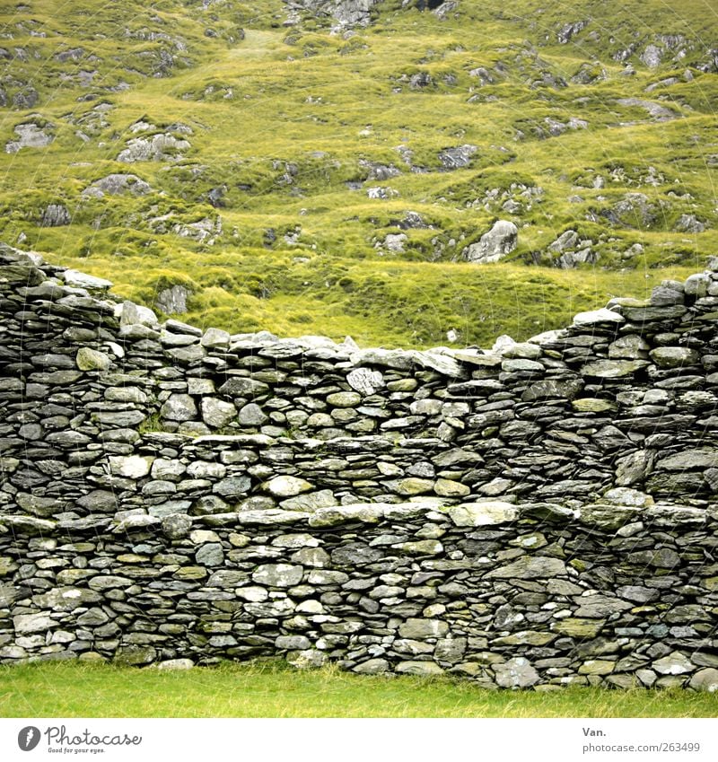 Mau(r)erwerk Umwelt Landschaft Pflanze Gras Wiese Hügel Felsen Republik Irland Ruine Mauer Wand Steinmauer alt grau grün Schutz Farbfoto mehrfarbig