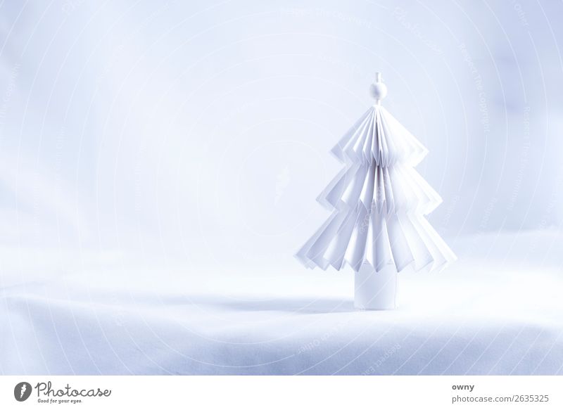 white tree Umwelt Landschaft Winter Eis Frost Schnee Baum Menschenleer Papier Feste & Feiern hell Sauberkeit weiß Gefühle Stimmung Liebe Glaube Design