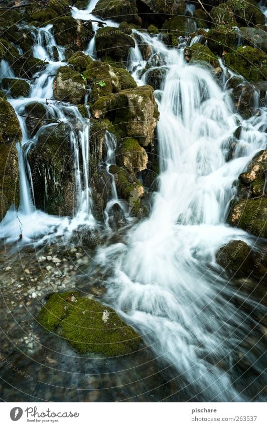 Lass laufen Natur Urelemente Wasser Moos Bach Wasserfall fließen Menschenleer Stein Farbfoto Außenaufnahme Langzeitbelichtung Bewegungsunschärfe Weitwinkel