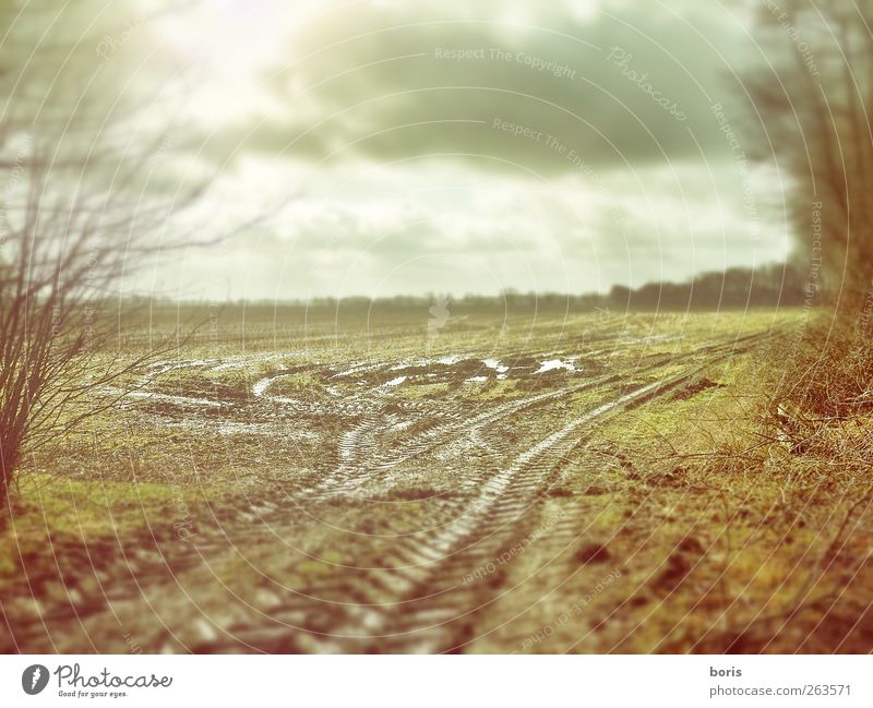 Ipweger Moor Natur Landschaft Pflanze Erde Himmel Wolken Wetter Feld Oldenburg Deutschland Europa Verkehrswege Traktor fahren kalt braun gelb grau Einsamkeit