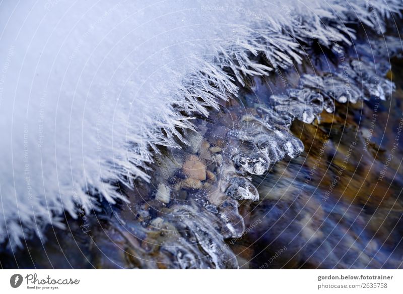 Frostkristalle Natur Pflanze Urelemente Erde Wasser Winter Eis Schnee Flussufer Stein gigantisch blau braun grau schwarz weiß Zufriedenheit Lebensfreude Fernweh