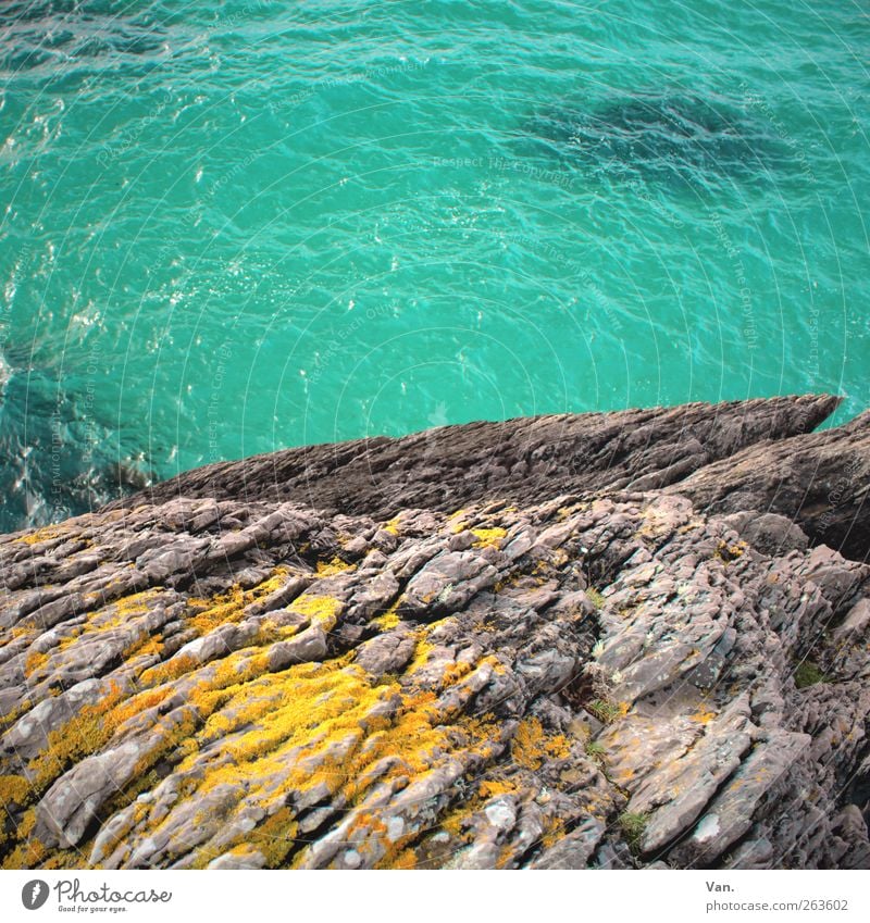 Sprung ins Blaue Ferien & Urlaub & Reisen Sommerurlaub Umwelt Natur Wasser Moos Felsen Wellen Küste Meer Stein frisch nass blau gelb grau türkis Farbfoto