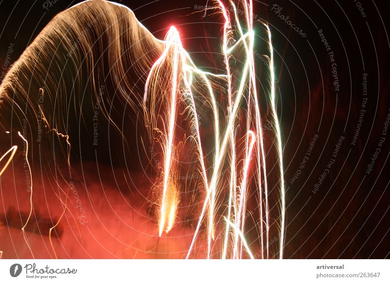Feuerwerk Gerippe Luft braun gold schwarz Langzeitbelichtung Silvester u. Neujahr Farbfoto Menschenleer Textfreiraum rechts Nacht Lichterscheinung Totale