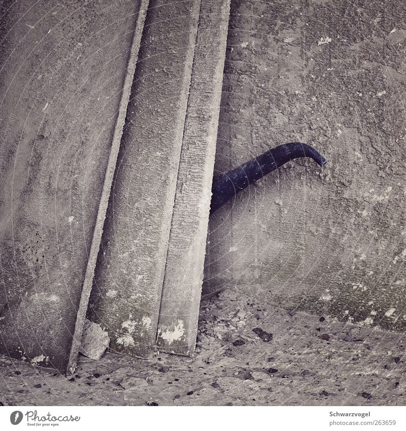 Die Sendung mit der Maus und dem ... Gartenarbeit Stein Beton Kunststoff blau grau Gießkanne Elefant verstecken Rüssel Töröööö! hervorlugen strecken assoziativ