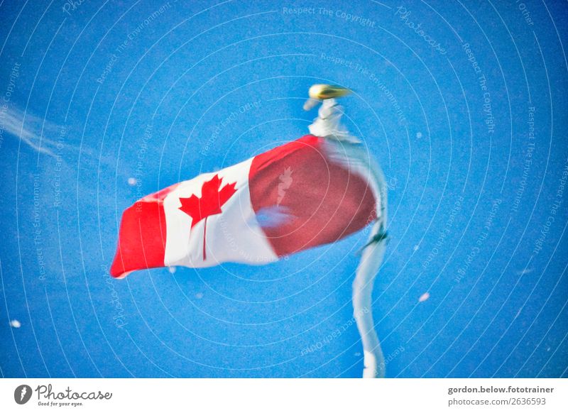 Kanadas Flagge in Bewegung Himmel Wind blau gold rot schwarz weiß Glück Begeisterung Kraft Farbfoto Außenaufnahme Menschenleer Hintergrund neutral Tag