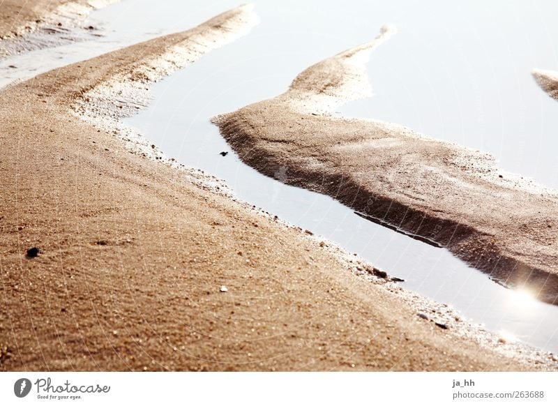 Nordsee I Wasser Ferien & Urlaub & Reisen Gezeiten Ebbe Flut Strand Sand Meer Wind Pril Sonnenlicht Sommer Seegatt Muschel Überstrahlung Makroaufnahme