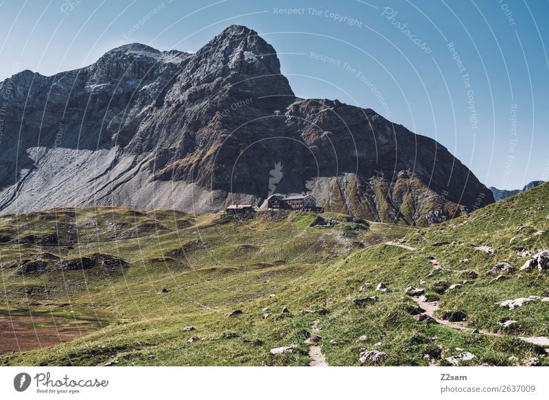 Memminger Hütte | E5 Ferien & Urlaub & Reisen Abenteuer wandern Natur Landschaft Sommer Schönes Wetter Wiese Felsen Alpen Berge u. Gebirge Gipfel grün