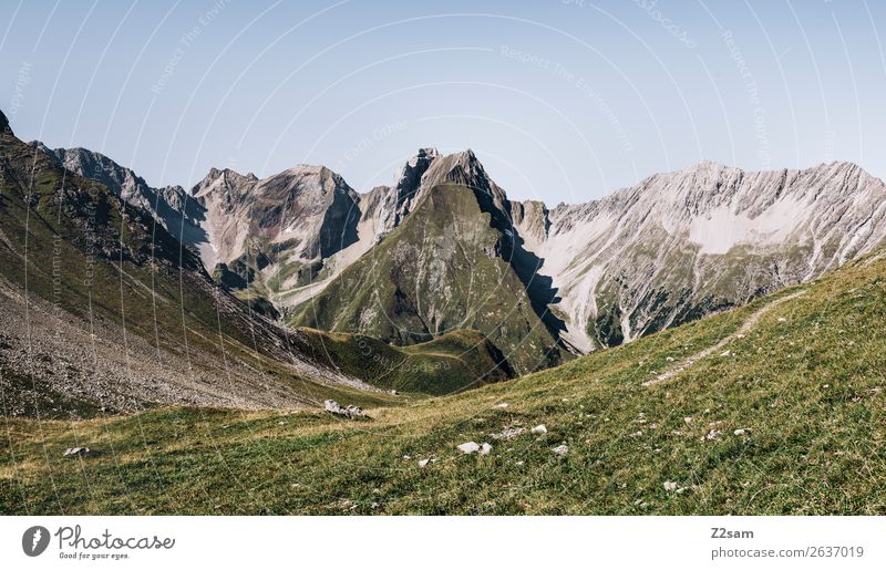 Blick zurück Richtung Memminger Hütte Abenteuer Berge u. Gebirge wandern Natur Landschaft Sommer Schönes Wetter Wiese Alpen Gipfel gigantisch hoch natürlich