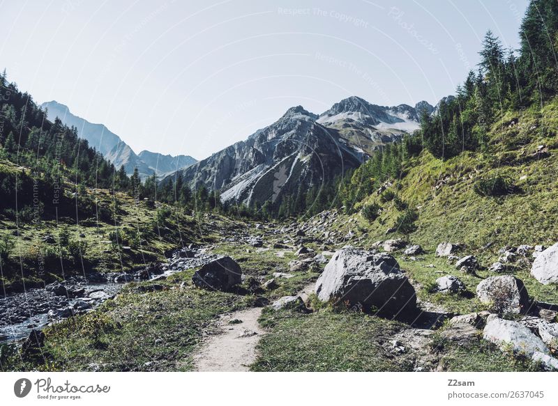 Zamer Loch | Lechtaler Alpen | E5 Abenteuer wandern Natur Landschaft Sommer Schönes Wetter Berge u. Gebirge gigantisch grün Einsamkeit Idylle nachhaltig Umwelt