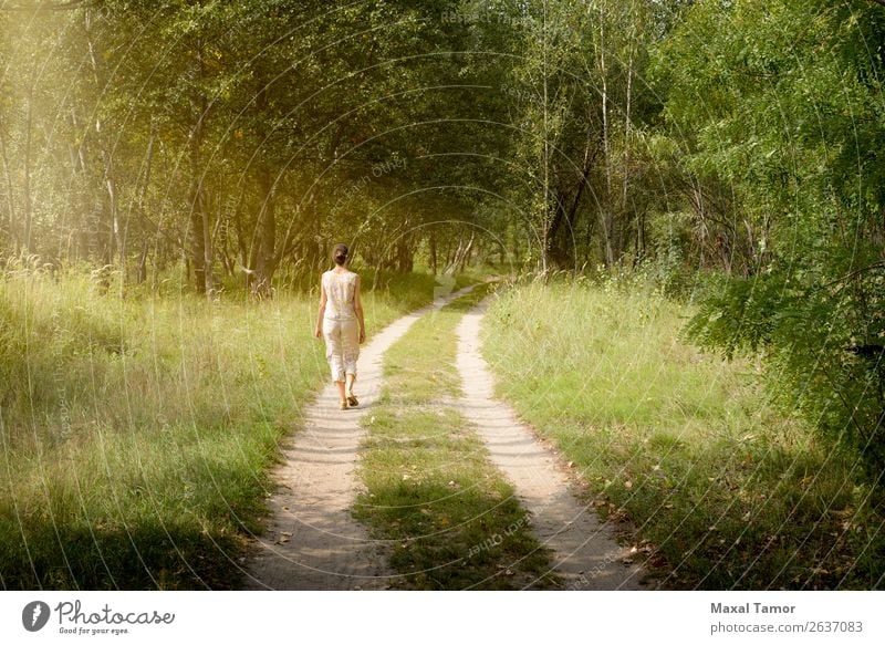 Erwachsene Frau geht im Wald spazieren. Lifestyle Freude Glück schön Freizeit & Hobby Ferien & Urlaub & Reisen Abenteuer Freiheit Sommer Sonne wandern Mensch