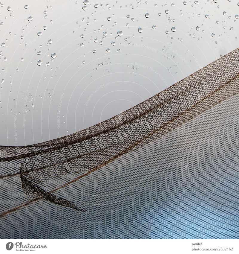 Schleierfahndung Wassertropfen Regen Fenster Gaze Netz Glas Metall alt nah nass blau türkis Fliegengitter kaputt gerissen Abnutzung Farbfoto Nahaufnahme