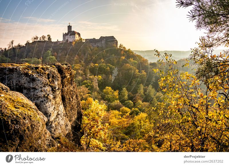 Wartburg in Eisenach im Herbstlicht Herbstlaub herbstlich Ferien & Urlaub & Reisen Sonnenuntergang Aussicht Erholung ruhig Meditation Felsen einzigartig