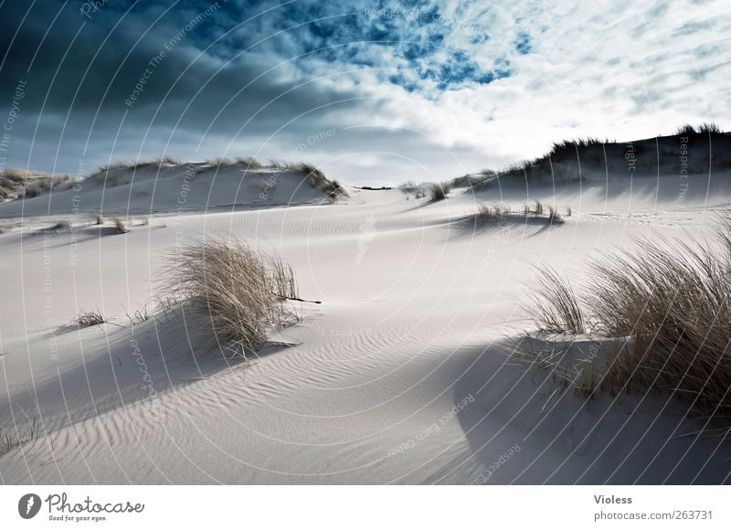 Déjà-vu Natur Landschaft Sand Himmel Wolken Strand Nordsee Insel entdecken Erholung Spiekeroog Dünengras Gegenlicht Farbfoto Außenaufnahme Tag Licht Sonnenlicht