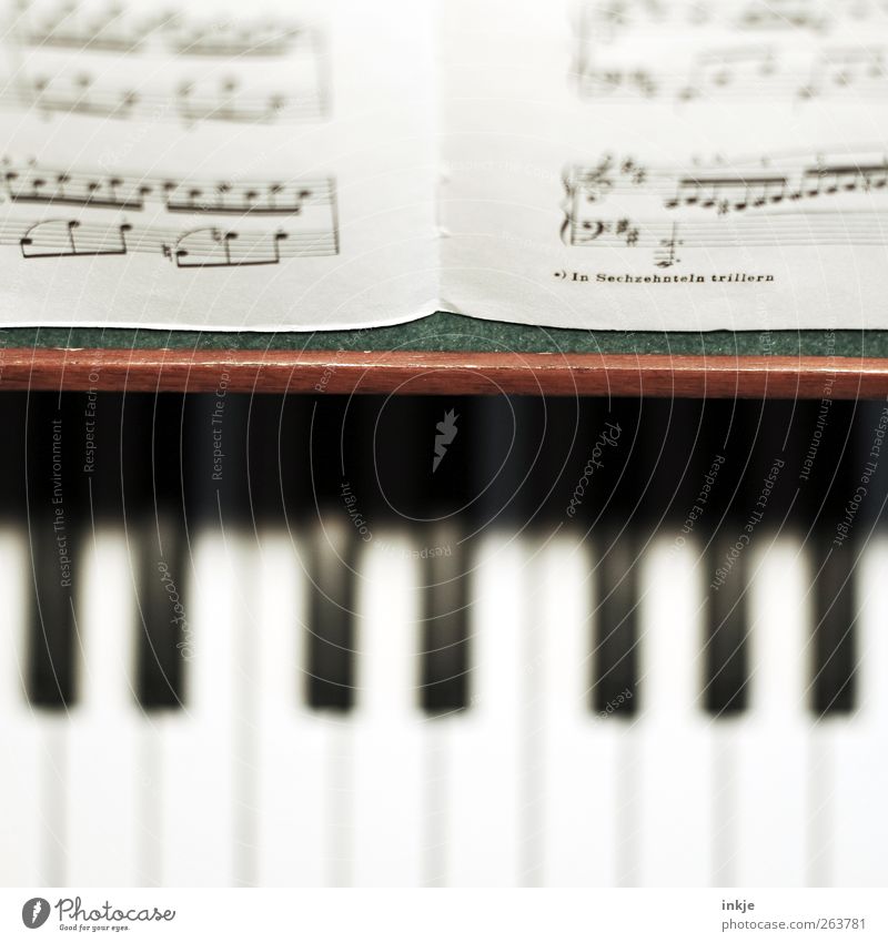 in sechzehnteln trillern Musik Klavier Musiknoten Klaviatur Klassik Musikinstrument Musikunterricht Farbfoto Innenaufnahme Nahaufnahme Detailaufnahme