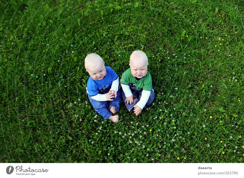 Brüder Mensch Kind Baby Junge 2 1-3 Jahre Kleinkind Natur Sommer genießen krabbeln Lächeln einfach Gesundheit Freundlichkeit klein grün Geborgenheit