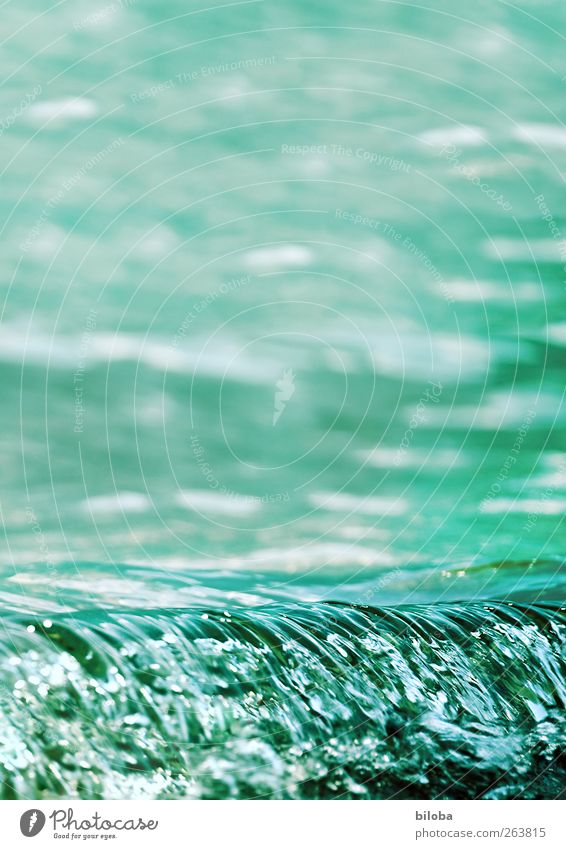 Mal wieder eine Welle Urelemente Wasser Wellen Seeufer grün Strukturen & Formen Außenaufnahme Textfreiraum oben Bewegungsunschärfe