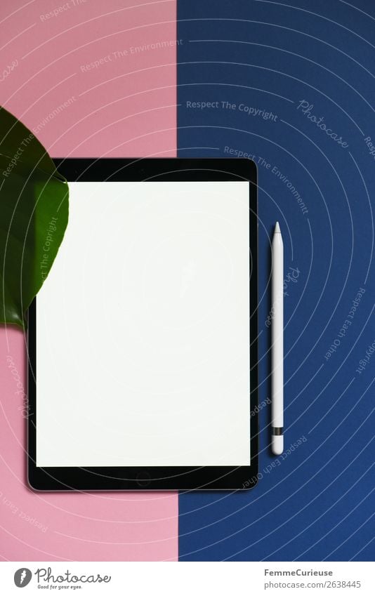 Tablet on pink and blue background Technik & Technologie Unterhaltungselektronik Fortschritt Zukunft Schreibwaren Papier Zettel Kommunizieren Tablet Computer
