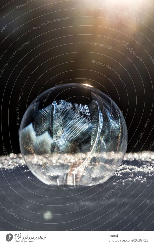 888 | Verwandlung | zum Kunstwerk harmonisch Meditation Winter Eis Frost Schnee Seifenblase leuchten außergewöhnlich dunkel dünn authentisch Erfolg gigantisch