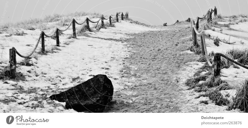 Boulevard of broken dreams Ferne Winter Schnee Natur Sand Eis Frost Küste Wege & Pfade Fußspur kalt schwarz weiß ruhig Schwarzweißfoto Außenaufnahme Morgen