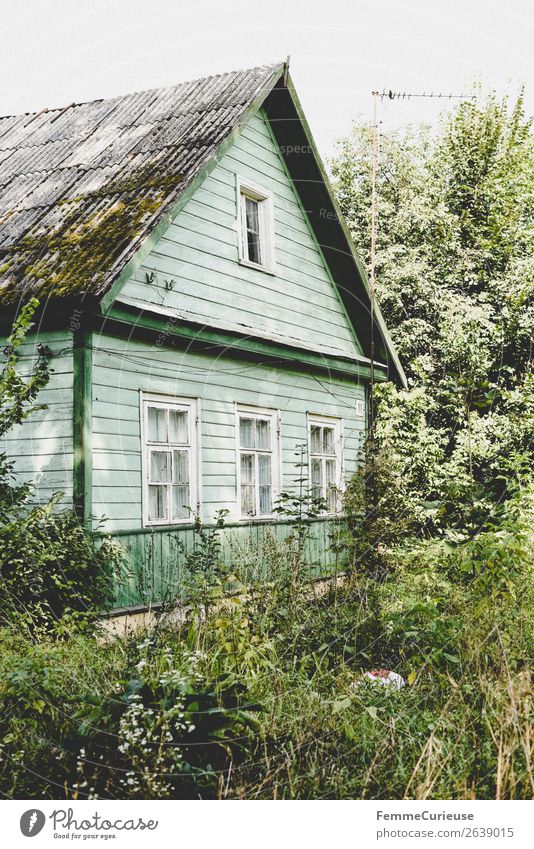 Mint green old house in Lithuania - surrounded by nature Dorf Kleinstadt Stadt Haus Einfamilienhaus Häusliches Leben Litauen Wohnhaus Holzhaus mint Natur Baum