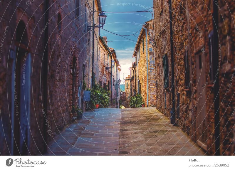 Kleines Dorf in der Toskana Ferien & Urlaub & Reisen Tourismus Ausflug Italien Europa Stadtzentrum Menschenleer Haus Bauwerk Gebäude Architektur Mauer Wand