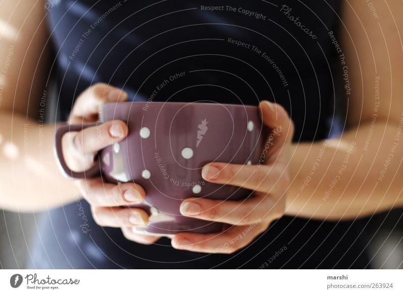 moin! kaffee gefällig Getränk Heißgetränk Kaffee Tee Mensch feminin Junge Frau Jugendliche Erwachsene Körper Hand 1 blau violett Tasse Durst Finger gepunktet