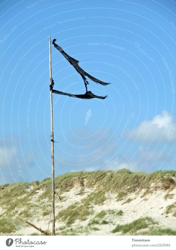 Wie mein Haar im Wind. Ferien & Urlaub & Reisen Sommer Natur Landschaft Sand Himmel Wolken Schönes Wetter Strand Nordsee Holz einfach blau schwarz Gefühle Fahne