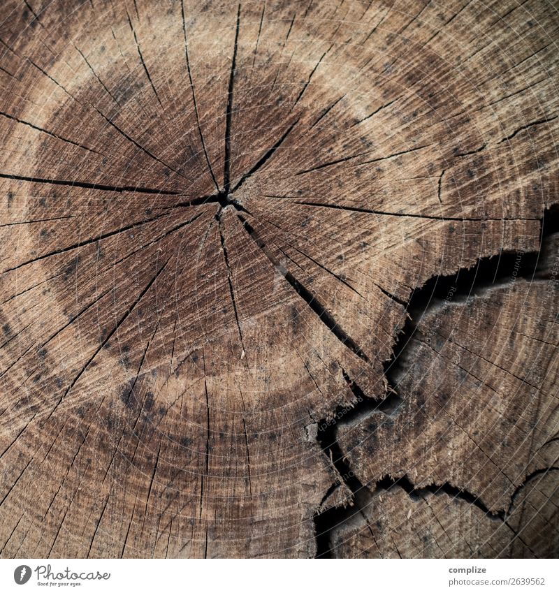 Baum Jahresringe, gebrochen Gesundheit Gesundheitswesen Alternativmedizin Leben Holz Zukunft Senior Lebenslauf Schicksal alternativ Ring Hintergrundbild
