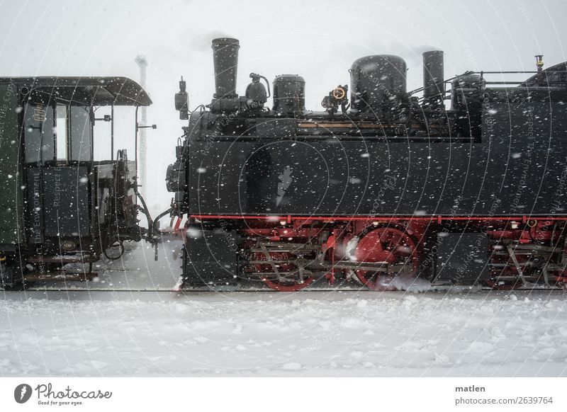 alte Dampflok im Schnee Verkehr Verkehrsmittel Verkehrswege Personenverkehr Schienenverkehr Eisenbahn Lokomotive Dampflokomotive fahren authentisch rot schwarz