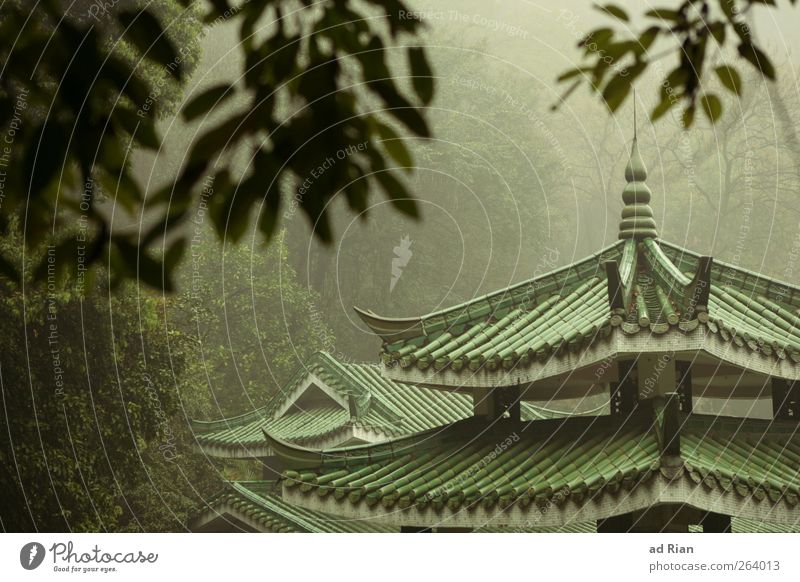 aussichtslos Natur Herbst schlechtes Wetter Nebel Regen Pflanze Baum Sträucher Grünpflanze Park Hügel Guilin China Altstadt Skyline Bauwerk Architektur Dach