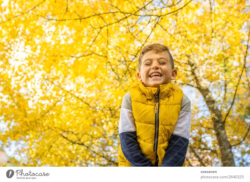 Süßes Kind gegen einen gelben Baum im Herbst Lifestyle Freude Glück schön Freizeit & Hobby Freiheit Mensch Baby Kleinkind Junge Mann Erwachsene Kindheit 1