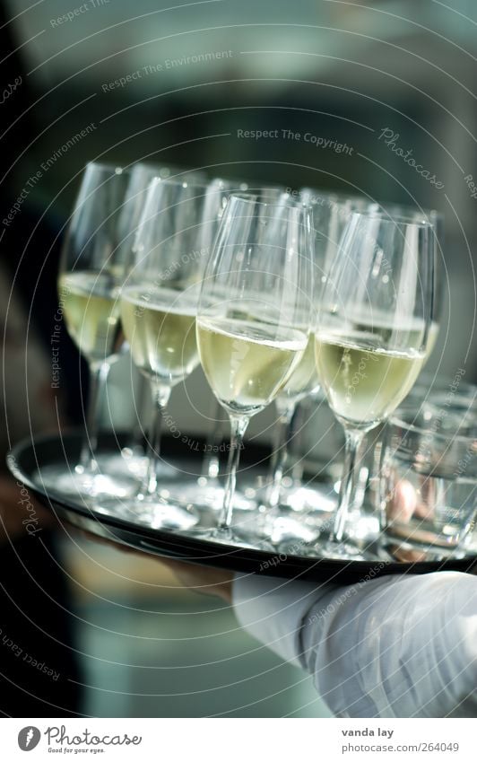 Sektchen? Slowfood Getränk Prosecco Champagner Tablett Glas Sektglas Lifestyle Reichtum elegant Alkohol Nachtleben Restaurant Bar Cocktailbar Lounge ausgehen